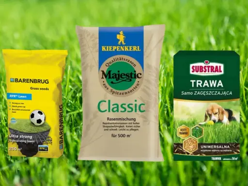 Ranking nawozów do trawy: Barenbrug RPR Lawn, Kiepenkerl Majestic Classic i Substral Trawa Samo Zagęszczająca. Wybierz najlepszy dla swojego ogrodu!