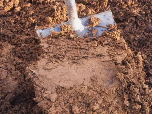 Łopata podnosi bryłę gliniastej ziemi, odsłaniając warstwy gleby. Drenaż działki gliniastej to klucz do sukcesu.