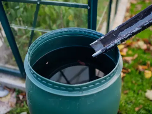 Zielona beczka zbiera deszczówkę z rynny. W tle szklarnia i jesienne liście.